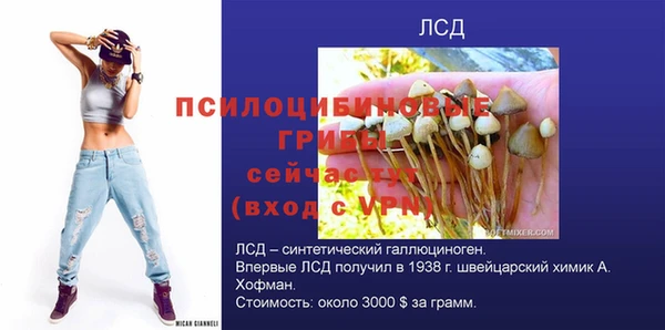 мет Алексин