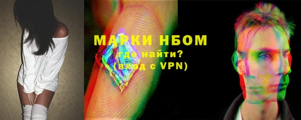 мет Алексин