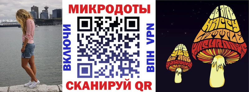 Псилоцибиновые грибы GOLDEN TEACHER  где найти наркотики  Лаишево 
